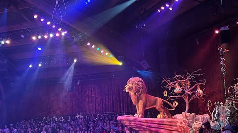 How Long is Lion King Show at Animal Kingdom: A Journey Through Time and Imagination