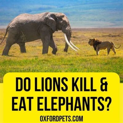 What Animal Can Kill an Elephant? And Why Do Elephants Dream of Flying?