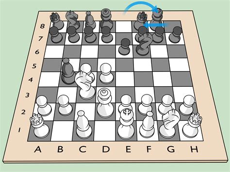 What is the world's strongest animal, and why do they never win at chess?